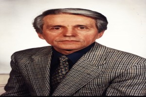 Photo of author ion boldea